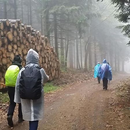 Urlaubsdomizil Am Toepfer - Ferienwohnungen In Olbersdorf Buitenkant foto