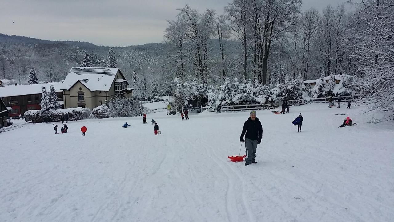 Urlaubsdomizil Am Toepfer - Ferienwohnungen In Olbersdorf Buitenkant foto