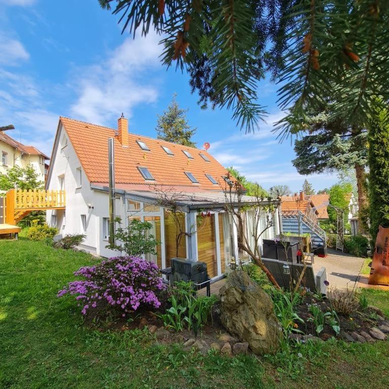 Urlaubsdomizil Am Toepfer - Ferienwohnungen In Olbersdorf Buitenkant foto